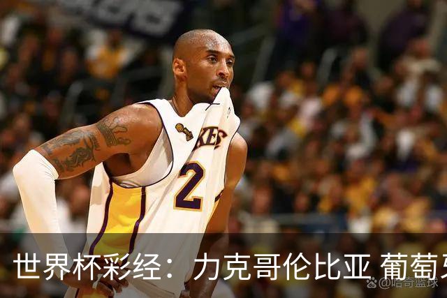世界杯彩经：力克哥伦比亚 葡萄牙抢占榜首